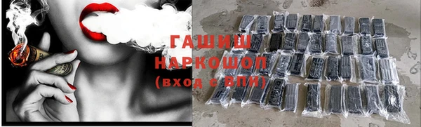 прущие грибы Надым
