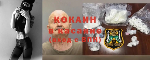 прущие грибы Надым