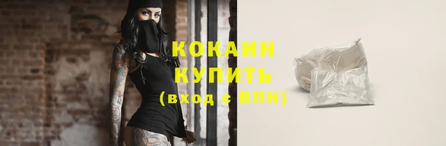 прущие грибы Надым