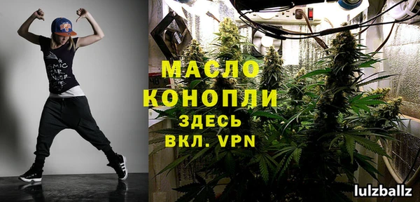 прущие грибы Надым