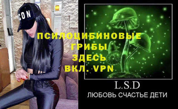прущие грибы Надым