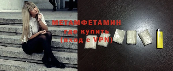прущие грибы Надым
