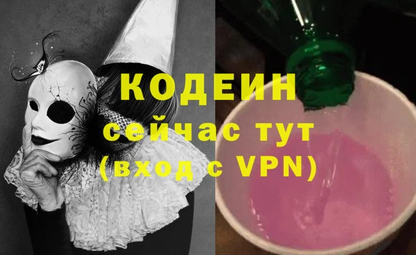 прущие грибы Надым