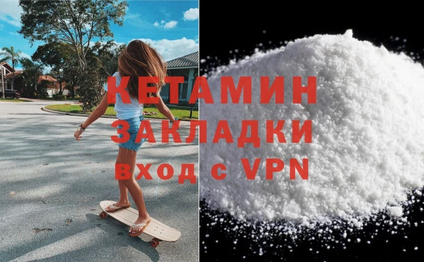 прущие грибы Надым